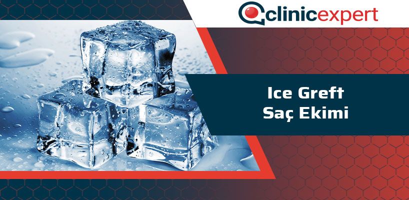 ice-greft-sac-ekimi-cln